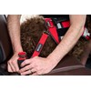 Pet Seatbelt