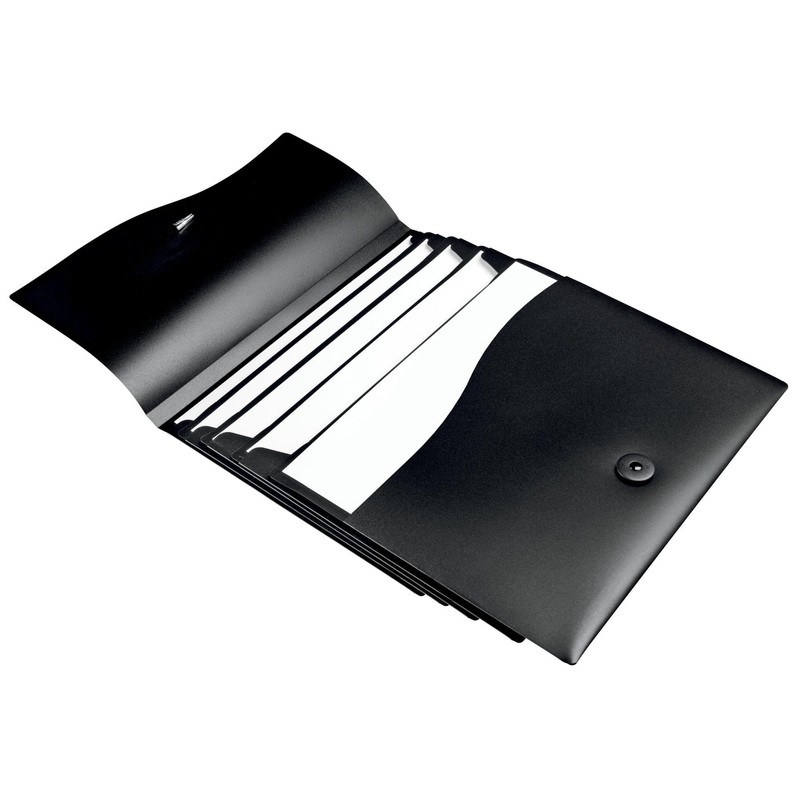 Avery 73517 Slide & View Expanding File, 5 Pockets, Polypropylene,