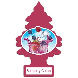 LITTLE TREES Car Air Freshener | Hanging Paper Tree for Home or Car | Sunberry Cooler | 6 Pack