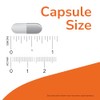NOW L-tyrosine 500mg,120 Capsules