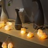 HeaHap Himalayan Salt String Lights with Switch, 20 Natural Salt