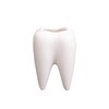 YOUYA DENTAL Succulent Plant Pots, Cute Tooth Shape White Ceramic