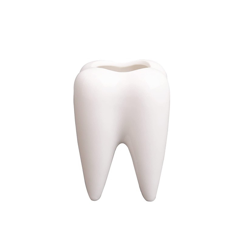 YOUYA DENTAL Succulent Plant Pots, Cute Tooth Shape White Ceramic