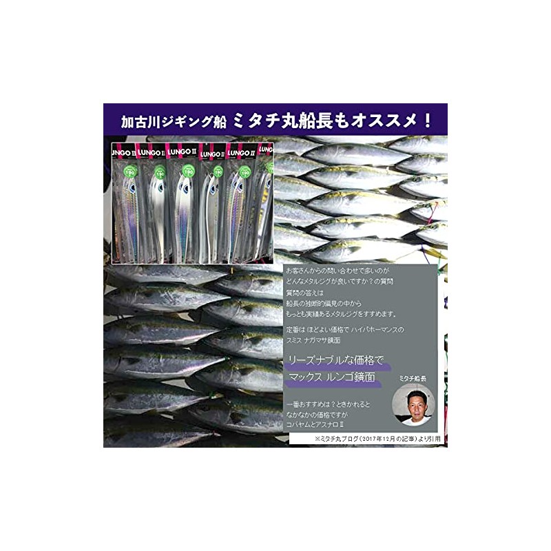 アズーロ ルンゴII 220g タテホロシルバーＧＨ オフショア ジグ タチウオパターン スロージギング ジギング