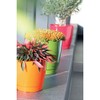 Prosper Plast DUOP100-426U 10 x 9.2 cm Coubi Flowerpot -