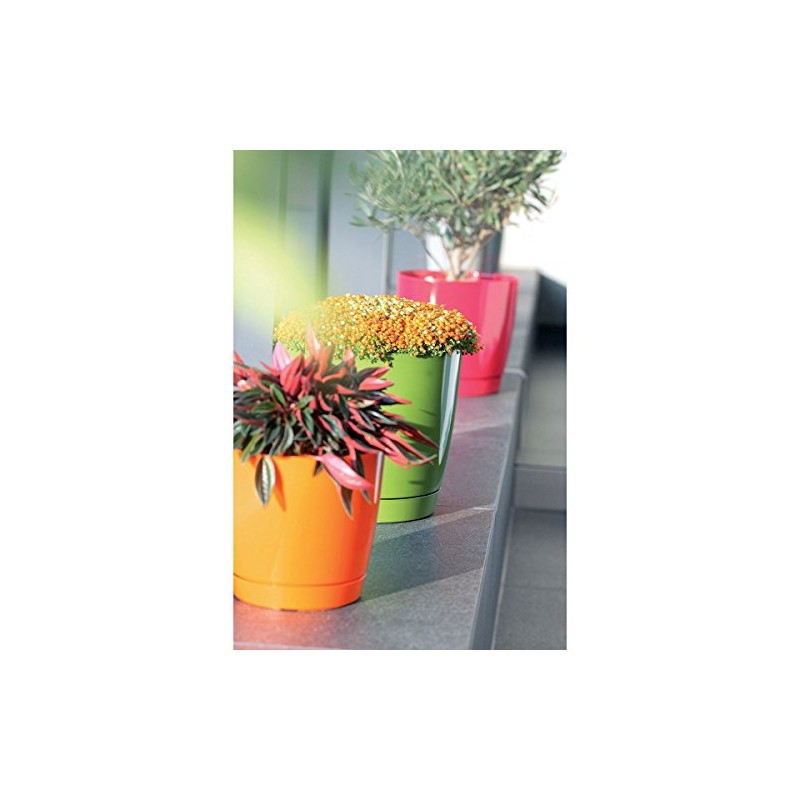 Prosper Plast DUOP100-426U 10 x 9.2 cm Coubi Flowerpot -