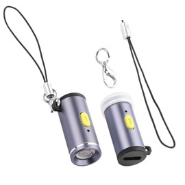 YAODHAOD Electric Lighter USB C, Windproof Flameless Lighter,Type C Mini Portable Electric Lighter Suitable for USB Type C Device Chargers, Power Banks（2PCS） (Purple)