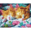 DIAMOND DOTZ Kitty Kip Diamond Painting