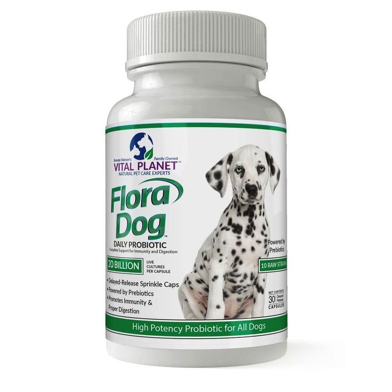 Vital Planet - Flora Dog Capsules High Potency Multi-Strain Probiotic