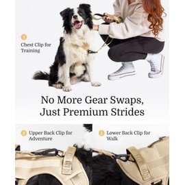 2025 New Edition, Fei & Eve Classic Dog Harness - Quick-Release Buckles | 3-Point No-Pull Control | Heavy-Duty 900D Nylon | Dual Safety Handles | Breathable Mesh | Adjustable Fit | Small,Champagne