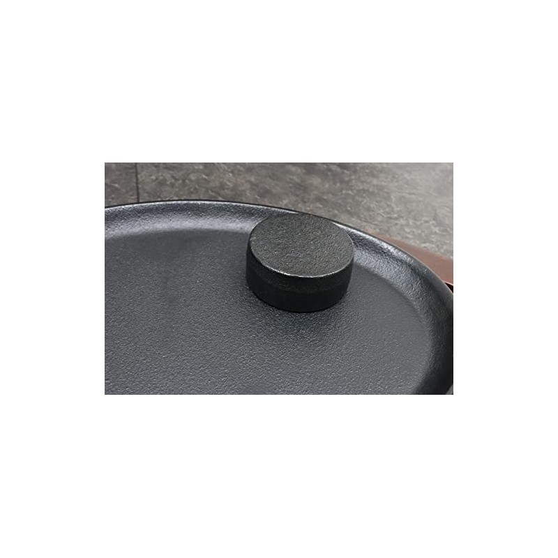 Asahi Cast Iron Pellet (Small) Size: Diameter 2.2 x Height