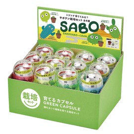 Seishin Pottery Growing Capsule, Green Capsule, 24 Piece Cosmetic Box Set, 4 Types of Cactus Cultivation Set, Size: Approx. 27.6 inches (70 mm), h65