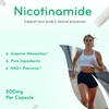 Vitamin B3 Nicotinamide 500mg - High Absorption Form of Vitamin