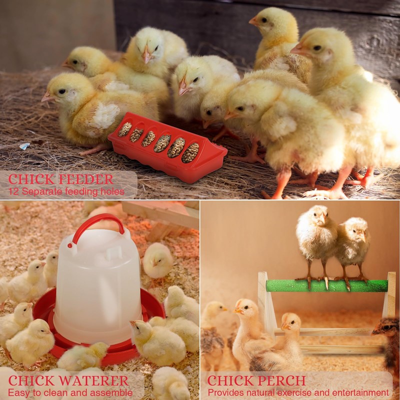 Brooder Box for Chicks - Complete Chicken Brooder Kit with