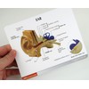 Life-size ear cross-sectional model, trisemicircular canal, cochlea, ossicles, eardrum, etc.