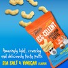 Todd's Better Snacks Egg-Cellent Protein Puffs, Sea Salt & Vinegar,