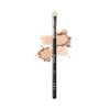 [Picasso] 239 Eye Shadow / [피카소] 239 아이섀도우