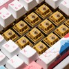 Akko Bittersweet Tactile Keyboard Switch for Mechanical Gaming Keyboard, 5-Pin