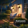 Kainozoic Motion Sensor Dawn to Dusk Outdoor Sensor Light Fixture