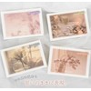 jill leen Shining 12-Color Mini Eyeshadow Palette HT05, Eyeshadow, Japan