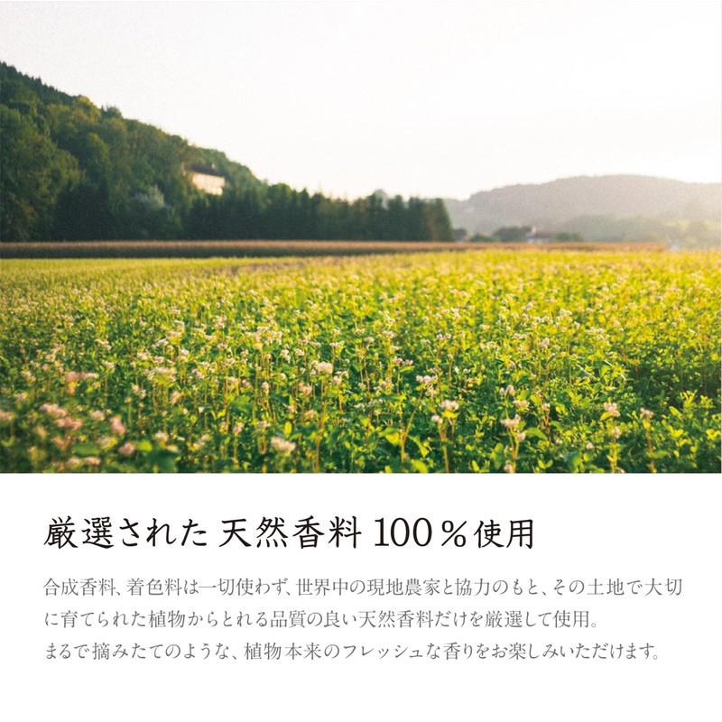 Songs of nature HP Aroma Oil Geranium HP-108