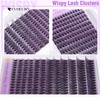 EYDEVRO Wispy Cluster Lashes Kit Natural Eyelashes Individual Kit 192