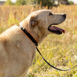 Ferplast Dog Training Chains 1 Piece 250 g