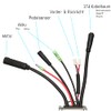 windmeile | 48V 350W E-bike Torque Controller Waterproof System E-Bike/Pedelec