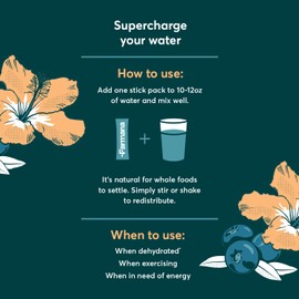 Wholefood Low Sodium Electrolyte Powder - Natural Electrolytes, Organic Fruits and Greens - No Added Sugar Electrolyte Drink Mix for Rapid Hydration, Energy, and Recovery - Blueberry Hibiscus Flavor