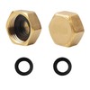 Brass Blanking Caps, Pack of 2 Durable Hex Brass Female