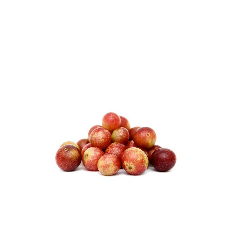 Camu Camu Orgánico (500)
