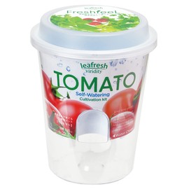 Seishin Pottery GD-81906 Winter/Spring/Summer Home Garden Easy Cultivation Kit, Loose Growing, Mini Tomatoes, Vegetables, Cultivation Set (Free Research / Food Education), Pot Diameter Approx. 4.3