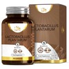 LN Lactobacillus Plantarum | 90 L-Plantarum Capsules - 5 Billion