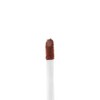 Palladio Labial Velvet Matte Metálico, Posh