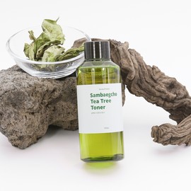 [Gift Recommendation] Skin soothing  Tricentennial Tea Tree Basic Gift Set - Toner + Ampoule + Moisturizing Cream / [선물 추천] 피부진정 삼백초 티트리 기초 선물세트 - 토너 + 앰플 + 수분크림