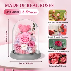 TERRALYX Preserved Roses in Glass Dome,Eternal Rose Bear with Led Light,Forever Flower for Wife,Long Lasting Forever Flowers,Birthday Flowers for Women,Valentine Mother'S Day Anniversary Thanksgiving