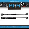 BOXI SET OF 2 REAR LIFTGATE LIFT SUPPORTS STRUTS FOR