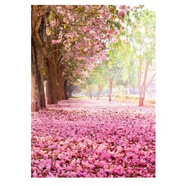 Ynbb Fotohintergrund / Fotohintergrund / Fotohintergrund / Valentinstag / Fotohintergrund, 90 x 150 cm, 11 Farben erhältlich, h, Einheitsgröße