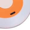 Motion Sensor Night Light Coccinella Septempunctata LED Night Light for