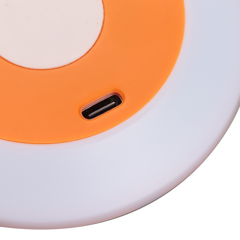 Motion Sensor Night Light Coccinella Septempunctata LED Night Light for