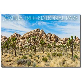 Joshua Tree National Park Blue Sky & Rocks Refrigerator Magnet Size 2.5" x 3.5"
