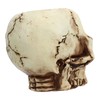 Skull Head Flower Pot Resin High Strength Clear Shape Skull