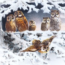 Museums and Galleries Charity Christmas Cards Pack of 8 - Charity Christmas Cards 2024 with Artistic Owls Design - Eco-Friendly Xmas Cards Multipack with Envelopes