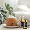 Mayjam Essential Oil Set, Aroma Oil Set, Essential Oils, Trial