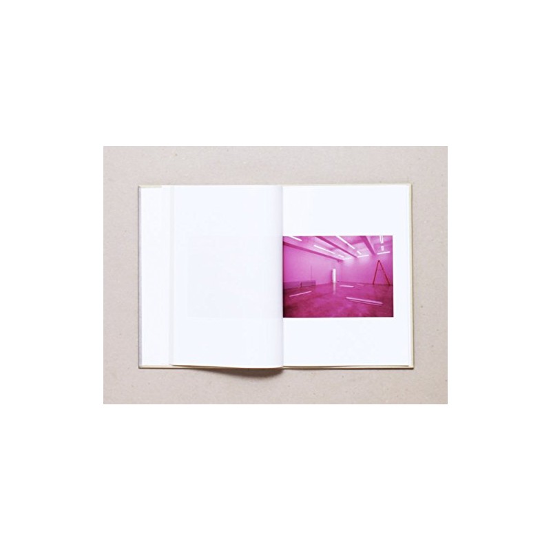 Jason Dodge. A permanently open window. Ediz. italiana e inglese