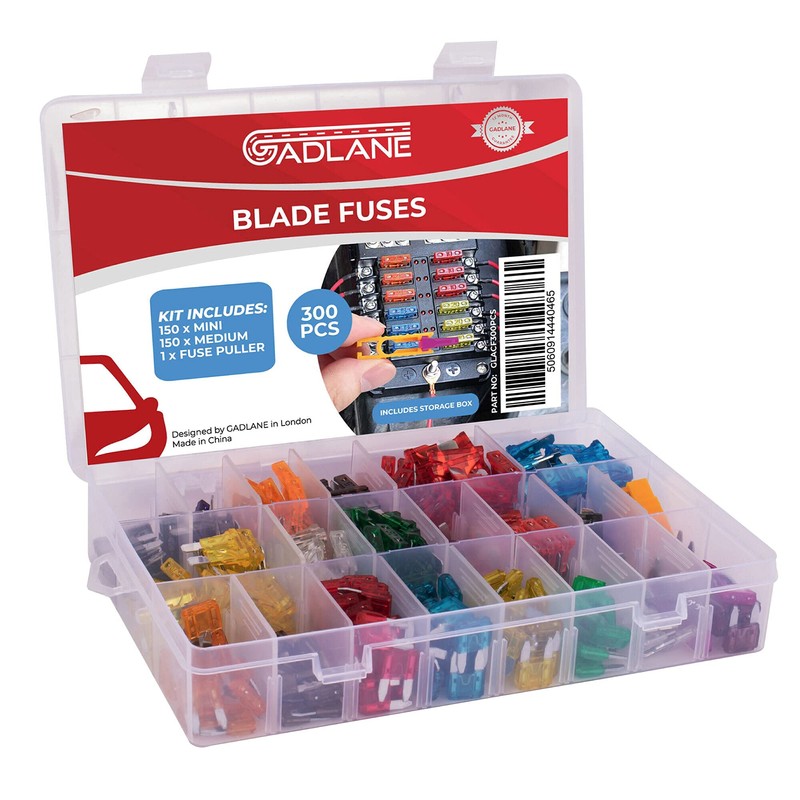 GADLANE Car Fuses Assorted Kit - 300pcs Mini & Medium