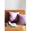 Set of 2 Soft Velvet Cushion Covers 45 x 45