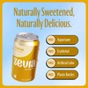 Zevia Zero Sugar Cream Soda, 12 Ounce Cans (Pack of