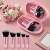 RAHHLIZS 10 Pcs Mini Travel Makeup Brushes with Pouch, Pink