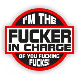 Unbranded 3pcs F*ker In Charge of You Hard Hat Stickers Funny Decals Welding Motorcycle